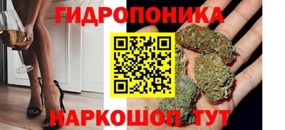 прущие грибы Заволжье