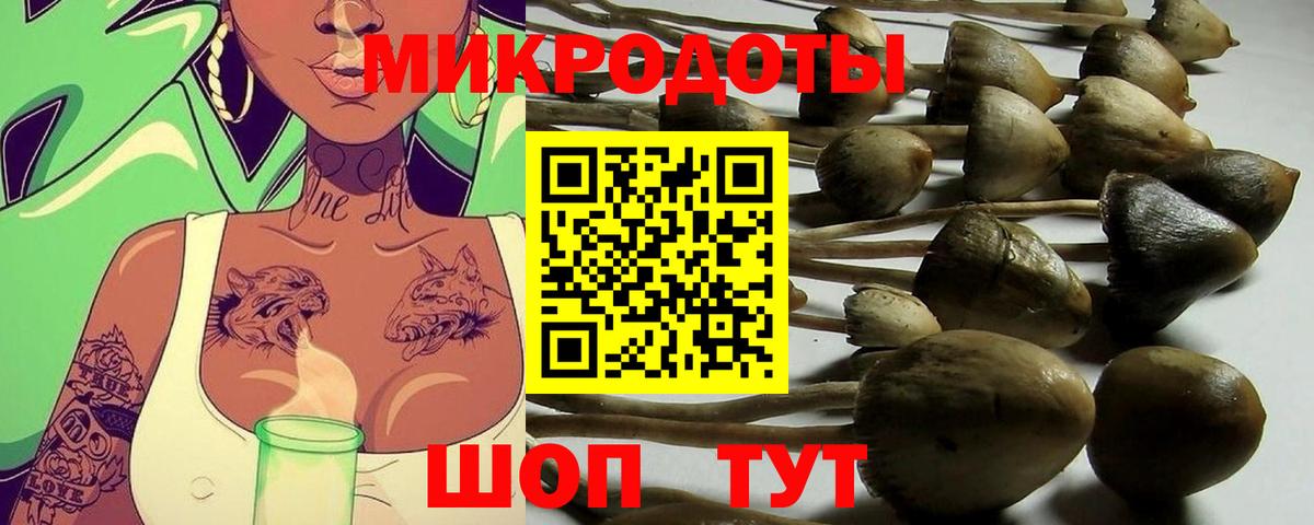 Галлюциногенные грибы мухоморы  Вход с VPN  Малгобек 