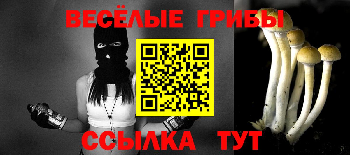 Галлюциногенные грибы Magic Shrooms Малгобек